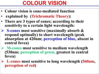 Trichromate Phototransduction & Visual Pathway Mmp March 10 | PPT