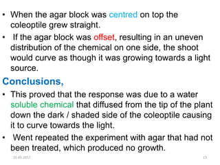• When the agar block was centred on top the
coleoptile grew straight.
• If the agar block was offset, resulting in an uneven
distribution of the chemical on one side, the shoot
would curve as though it was growing towards a light
source.
Conclusions,
• This proved that the response was due to a water
soluble chemical that diffused from the tip of the plant
down the dark / shaded side of the coleoptile causing
it to curve towards the light.
• Went repeated the experiment with agar that had not
been treated, which produced no growth.
31-05-2017 13
 