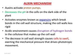 31-05-2017 16
AUXIN MECHANISM
• Auxins activate proton pumps.
• Decreases the pH in the cells on the dark side of the
plant
• Activates enzymes known as expansins which break
bonds in the cell wall structure, making the cell walls less
rigid
• Acidic environment causes disruption of hydrogen bonds
in the cellulose that makes up the cell wall
• The decrease in cell wall strength causes cells to swell,
exerting the mechanical pressure that drives phototropic
movement.
 