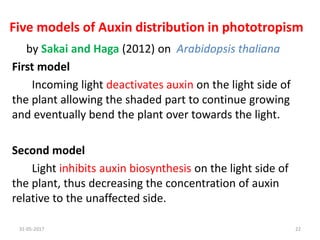 Five models of Auxin distribution in phototropism
by Sakai and Haga (2012) on Arabidopsis thaliana
First model
Incoming light deactivates auxin on the light side of
the plant allowing the shaded part to continue growing
and eventually bend the plant over towards the light.
Second model
Light inhibits auxin biosynthesis on the light side of
the plant, thus decreasing the concentration of auxin
relative to the unaffected side.
31-05-2017 22
 