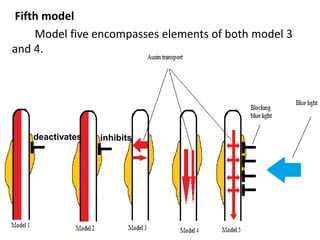 Fifth model
Model five encompasses elements of both model 3
and 4.
31-05-2017 24
deactivates inhibits
 