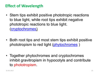 Effect of Wavelength
• Stem tips exhibit positive phototropic reactions
to blue light, while root tips exhibit negative
phototropic reactions to blue light.
(cryptochromes)
• Both root tips and most stem tips exhibit positive
phototropism to red light (phytochromes )
• Together phytochromes and cryptochromes
inhibit gravitropism in hypocotyls and contribute
to phototropism.
31-05-2017 25
 