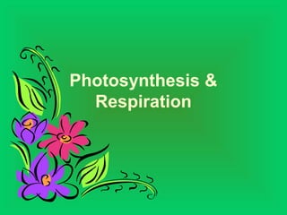 Photosynthesis &
Respiration
 