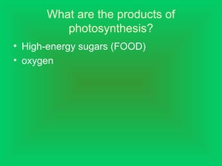 What are the products of
photosynthesis?
• High-energy sugars (FOOD)
• oxygen
 