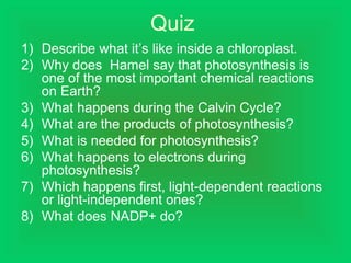 Quiz
1) Describe what it’s like inside a chloroplast.
2) Why does Hamel say that photosynthesis is
one of the most important chemical reactions
on Earth?
3) What happens during the Calvin Cycle?
4) What are the products of photosynthesis?
5) What is needed for photosynthesis?
6) What happens to electrons during
photosynthesis?
7) Which happens first, light-dependent reactions
or light-independent ones?
8) What does NADP+ do?
 