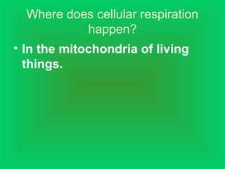 Where does cellular respiration
happen?
• In the mitochondria of living
things.
 