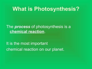 What is Photosynthesis?
The process of photosynthesis is a
chemical reaction.
It is the most important
chemical reaction on our planet.
 