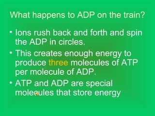 What happens to ADP on the train?
• Ions rush back and forth and spin
the ADP in circles.
• This creates enough energy to
produce three molecules of ATP
per molecule of ADP.
• ATP and ADP are special
molecules that store energy
 