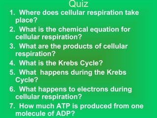 Quiz
1. Where does cellular respiration take
place?
2. What is the chemical equation for
cellular respiration?
3. What are the products of cellular
respiration?
4. What is the Krebs Cycle?
5. What happens during the Krebs
Cycle?
6. What happens to electrons during
cellular respiration?
7. How much ATP is produced from one
molecule of ADP?
 