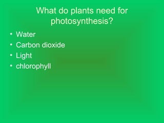 What do plants need for
photosynthesis?
• Water
• Carbon dioxide
• Light
• chlorophyll
 