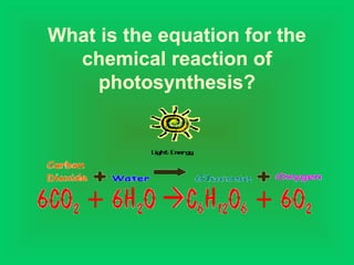 What is the equation for the
chemical reaction of
photosynthesis?
 