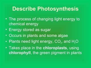 Describe Photosynthesis
• The process of changing light energy to
chemical energy
• Energy stored as sugar
• Occurs in plants and some algae
• Plants need light energy, CO2, and H2O
• Takes place in the chloroplasts, using
chlorophyll, the green pigment in plants
 