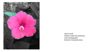 Jayme Lesak
Flowers make the world pop
Color photography
Element: Complementary