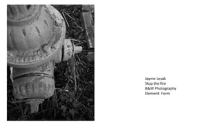 Jayme Lesak
Stop the fire
B&W Photography
Element: Form