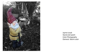 Jayme Lesak
Stand and watch
Color Photography
Element: Warm color