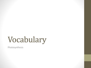 Vocabulary
Photosynthesis
 