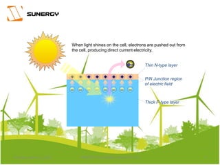 4PROPERTY OF SUNERGY SOLAR PTE LTDThursday, March 31, 2016
When light shines on the cell, electrons are pushed out from
the cell, producing direct current electricity.
Thin N-type layer
Thick P-type layer
e–
+ + + + + + + +
– – – – – – – –
P/N Junction region
of electric field
 
