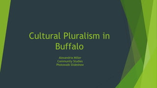 Cultural Pluralism in
Buffalo
Alexandria Miller
Community Studies
Photowalk Slideshow
 