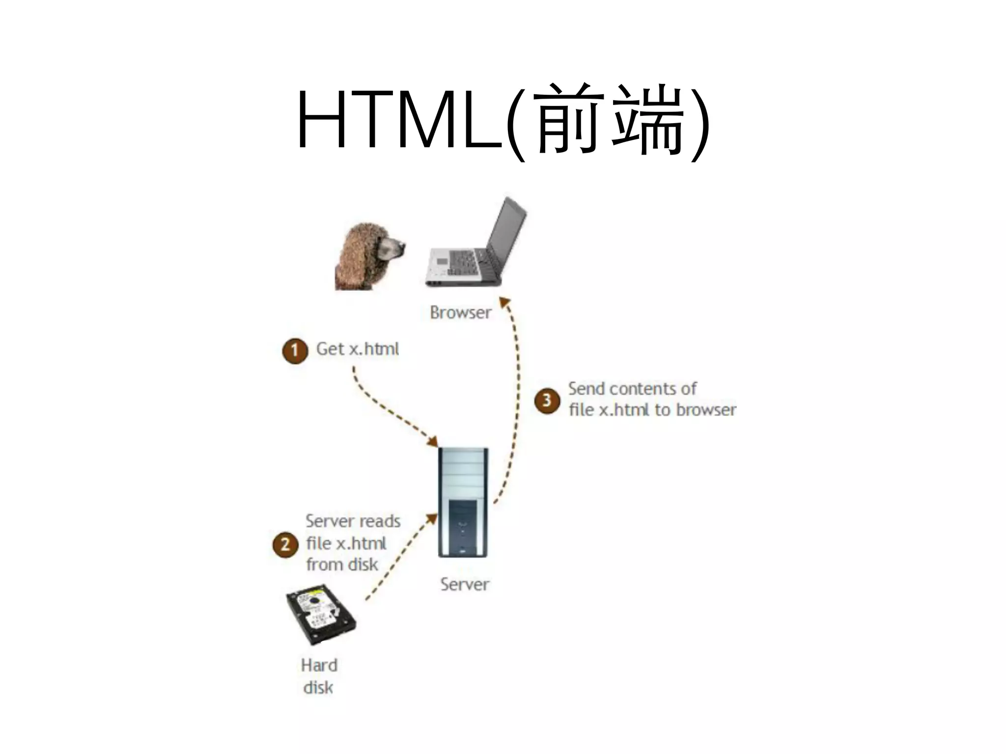 HTML(前端)
 