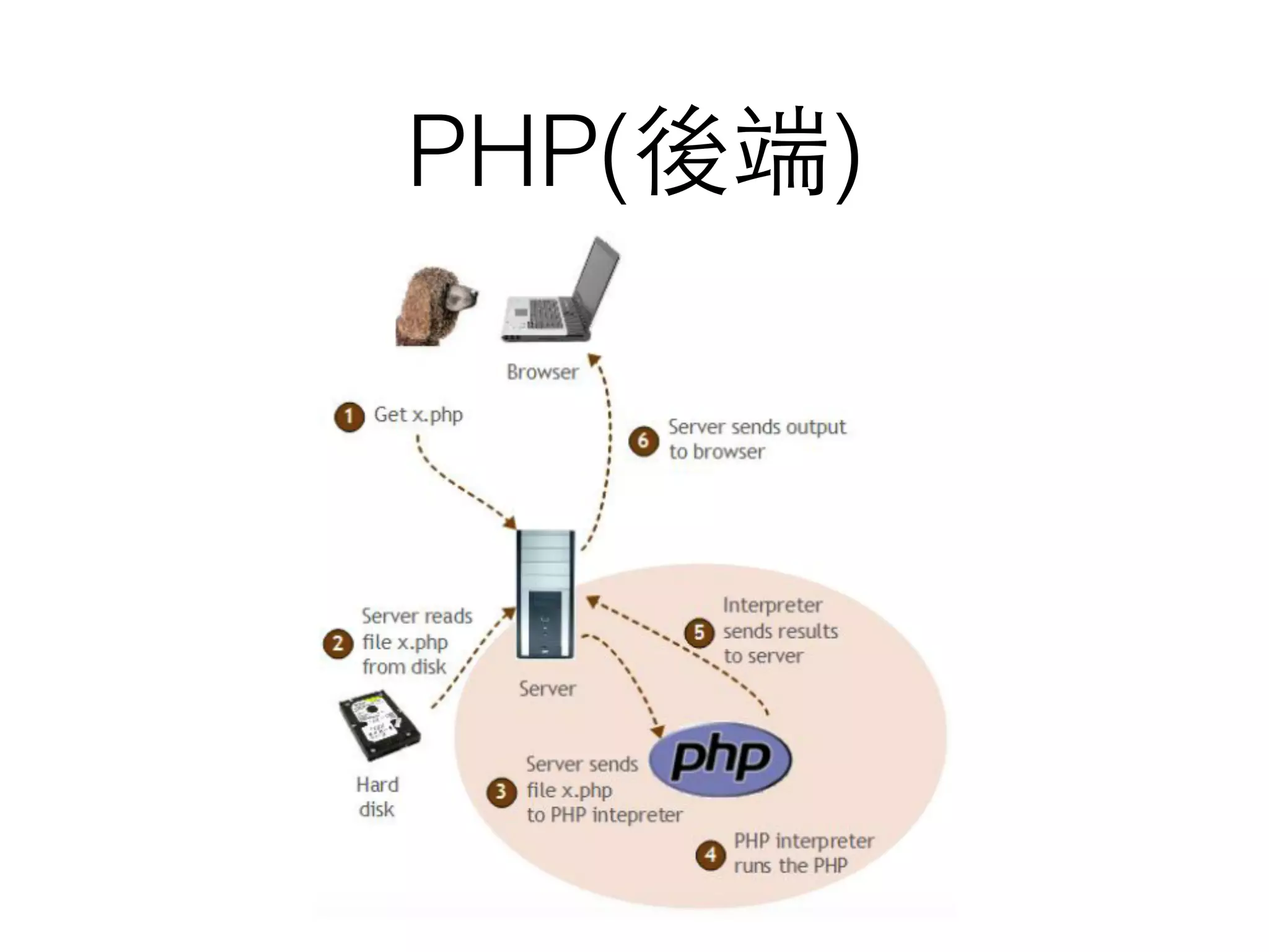 PHP(後端)
 