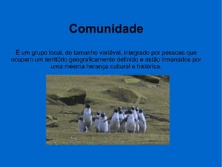 Comunidade
É um grupo local, de tamanho variável, integrado por pessoas que
ocupam um território geograficamente definido e estão irmanados por
uma mesma herança cultural e histórica.
 