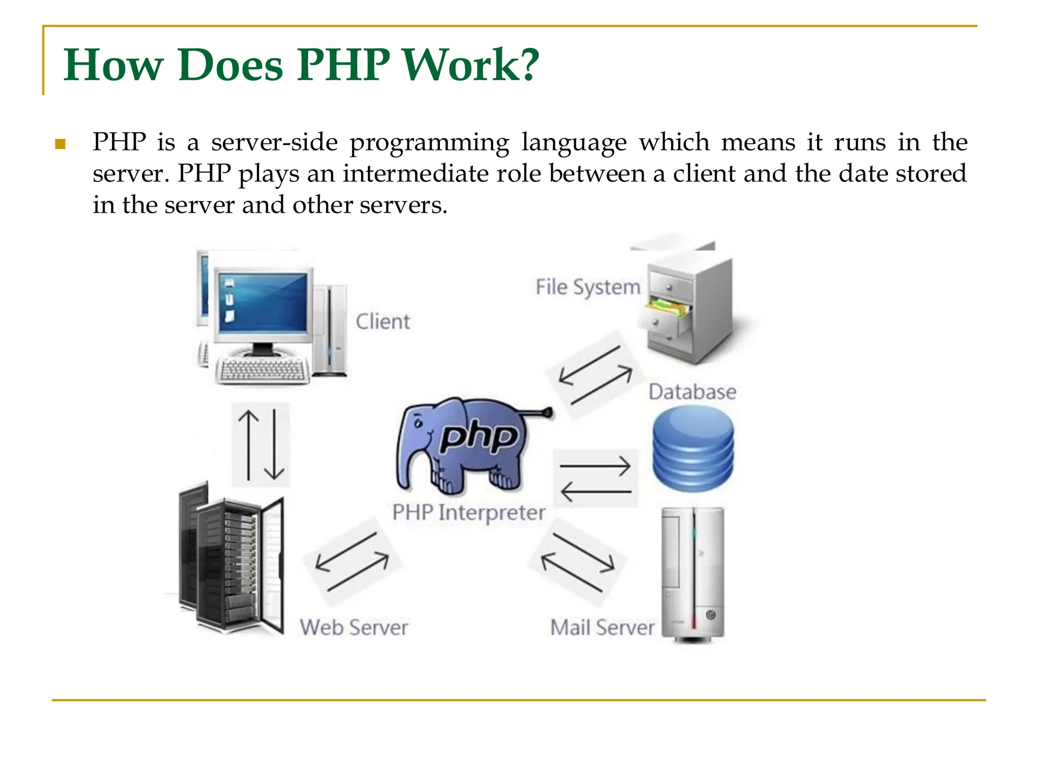 How Does PHP Work? ◼ PHP is a server-side programming language which means it runs in the server. PHP plays an intermediate role between a client and the date stored in the server and other servers. 
