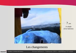 nAcademy Le 26 février 2015 Neuros -
Les changements
? yes
A whale
(Une baleine)
Picture hellosct1 : Tadoussac 2011 – elePHPant VS whale
 