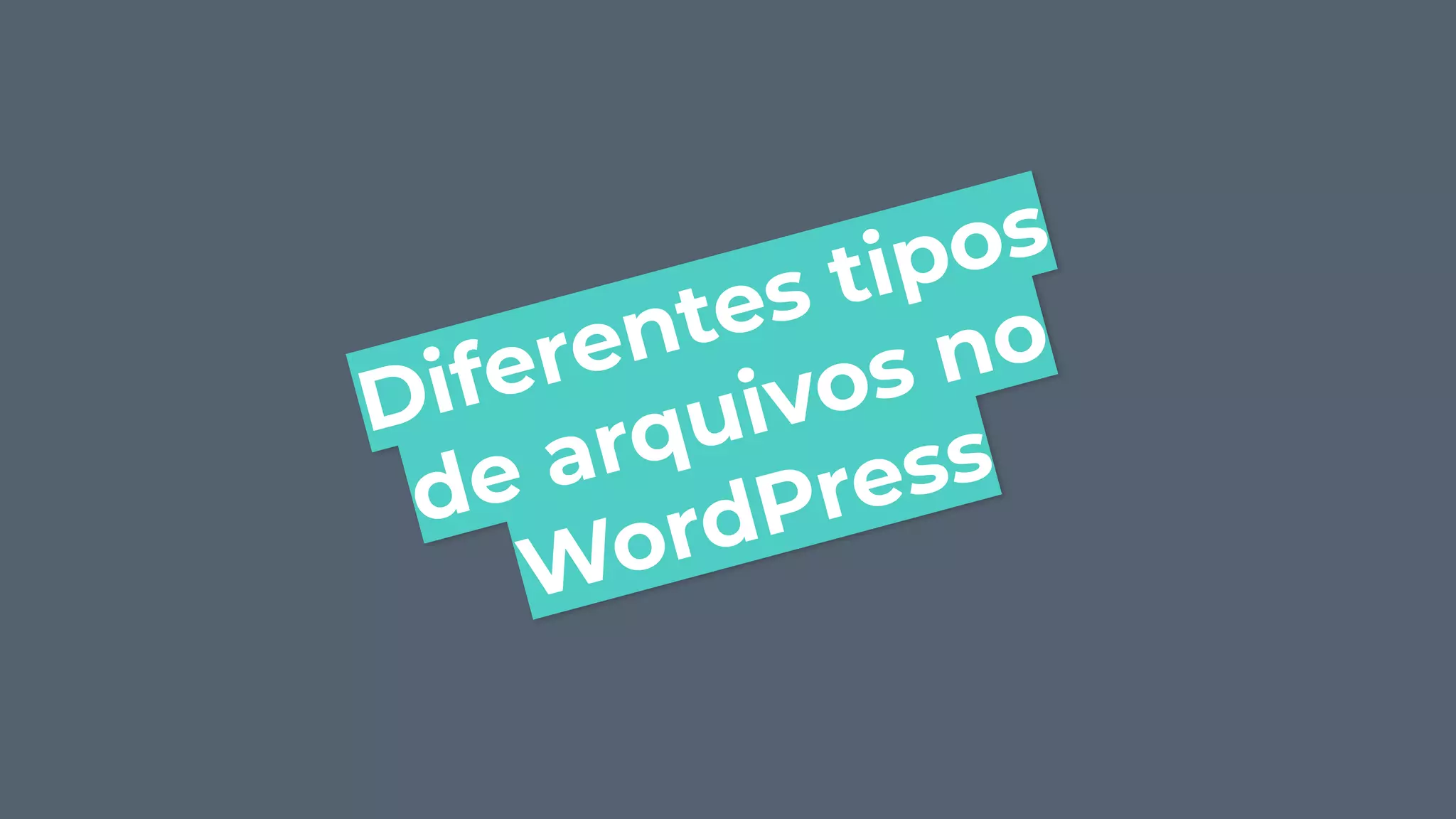 Diferentes tipos
de arquivos no
WordPress
 