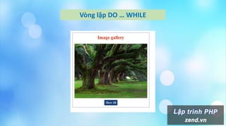 Vòng lặp DO … WHILE
 