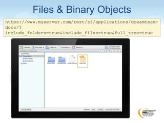 https://www.myserver.com/rest/s3/applications/dreamteam-
docs/?
include_folders=true&include_files=true&full_tree=true
Files & Binary Objects
 