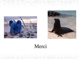    
Merci
 
