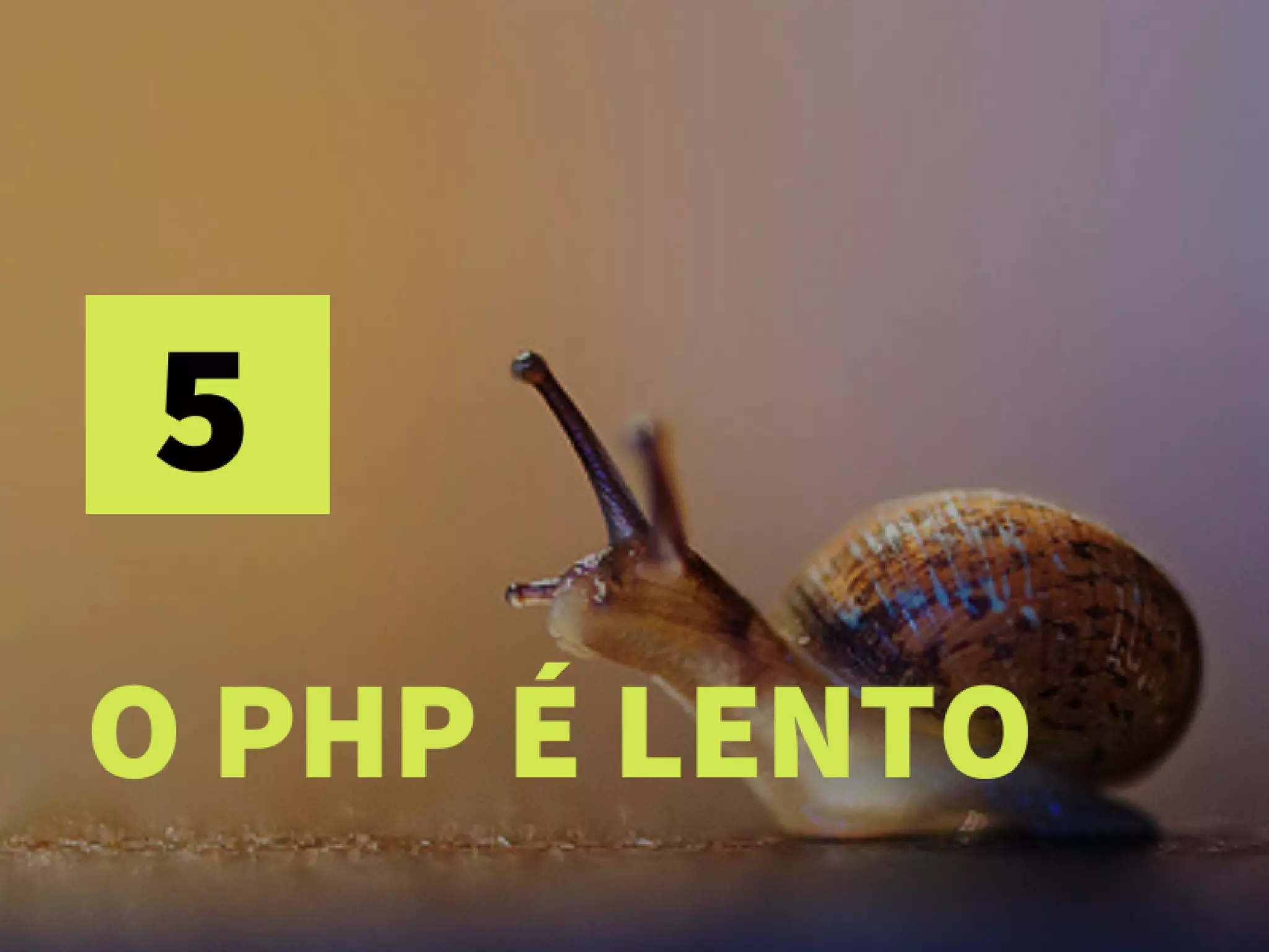 Php?! Mas você não disse que era PROGRAMADOR?