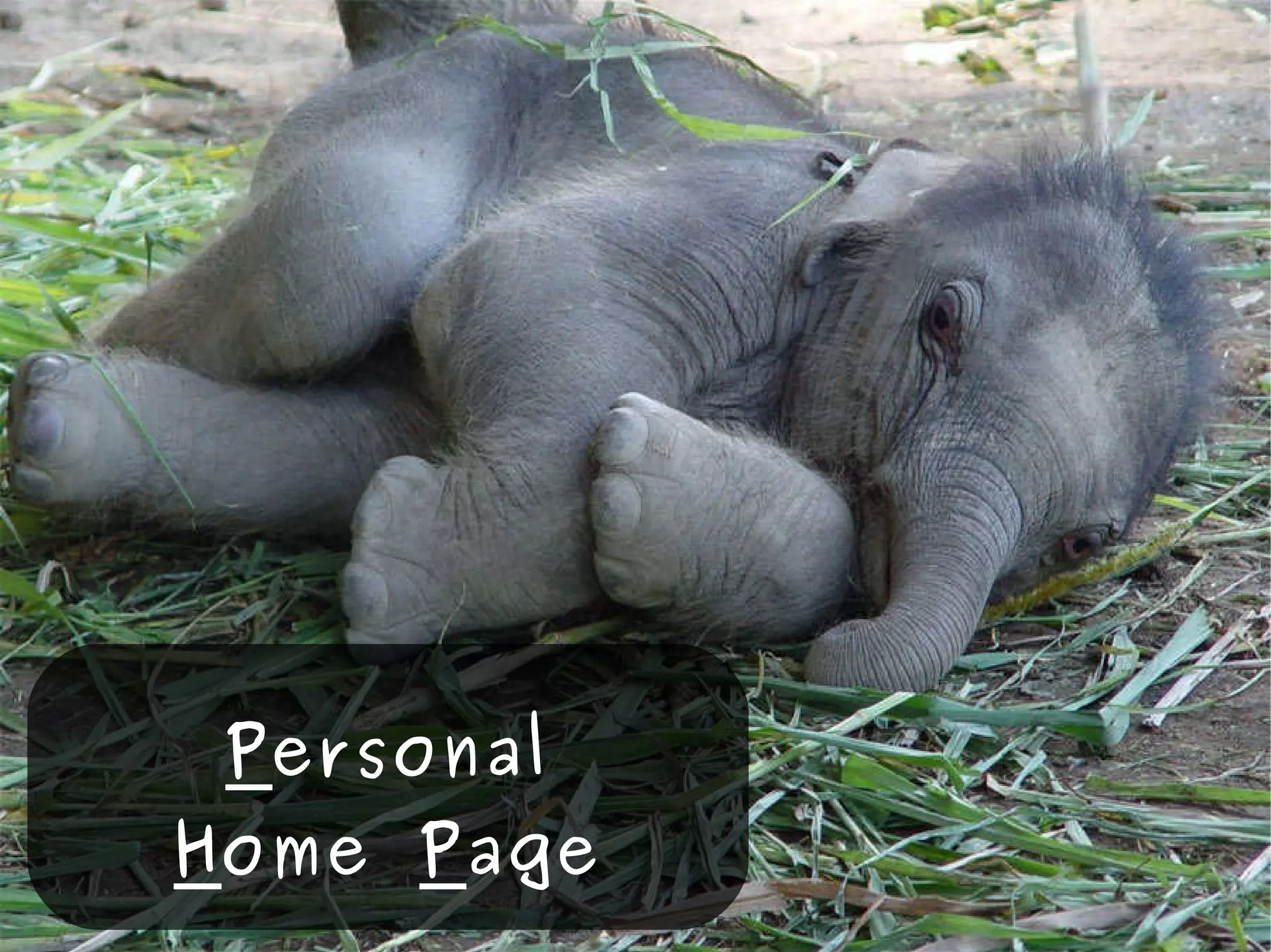 P ersonal H ome  P age 