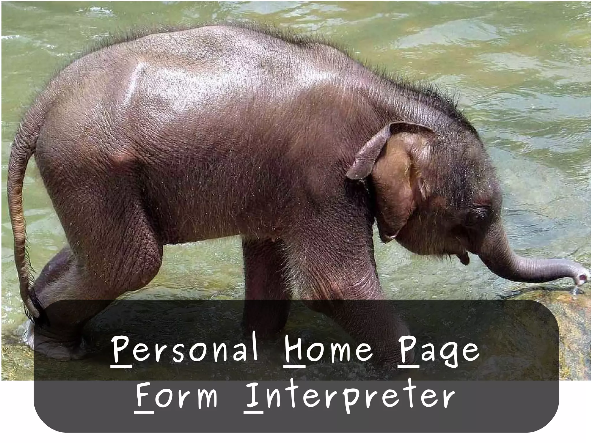 P ersonal  H ome  P age F orm  I nterpreter 