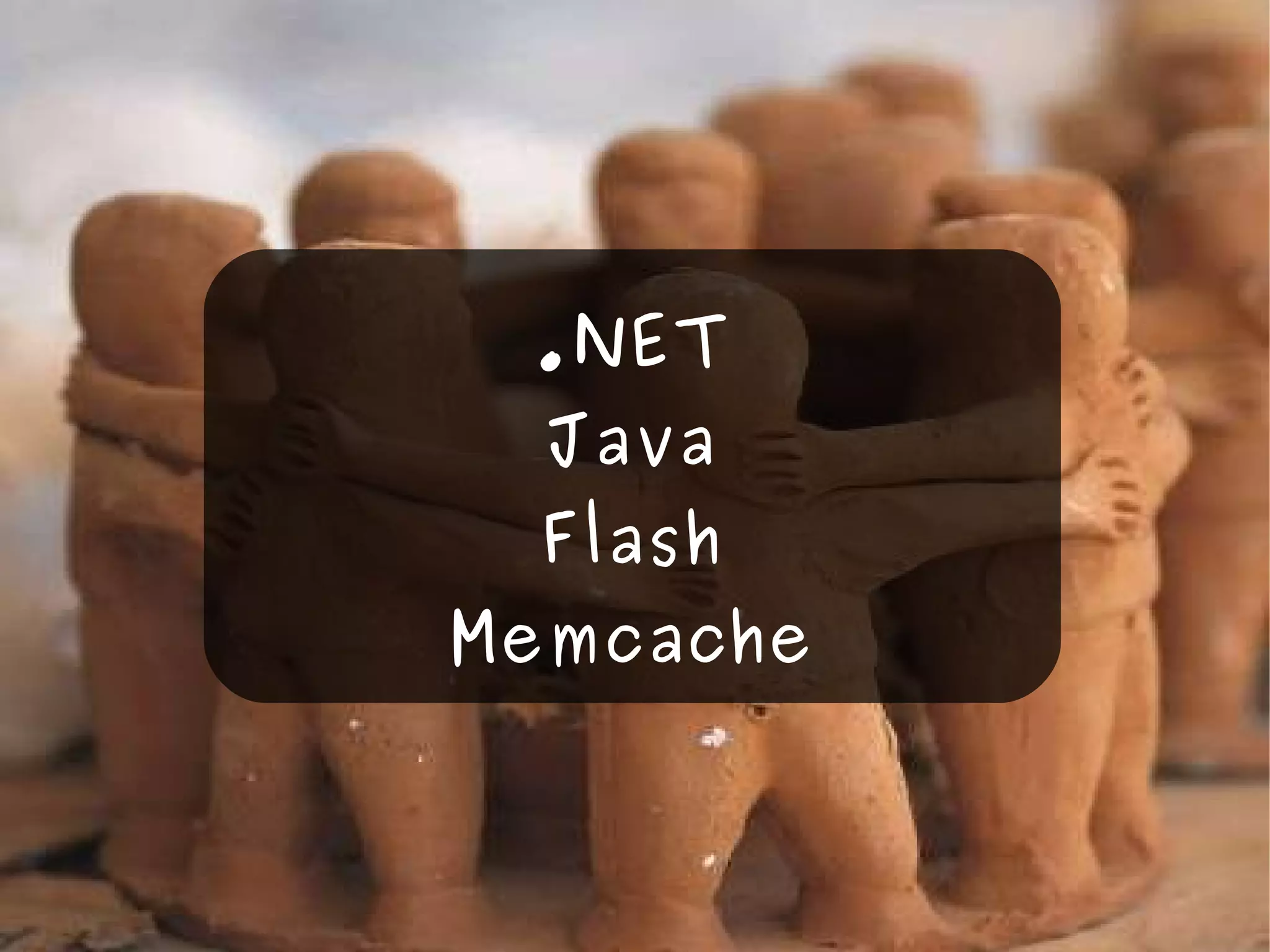 .NET Java Flash Memcache 