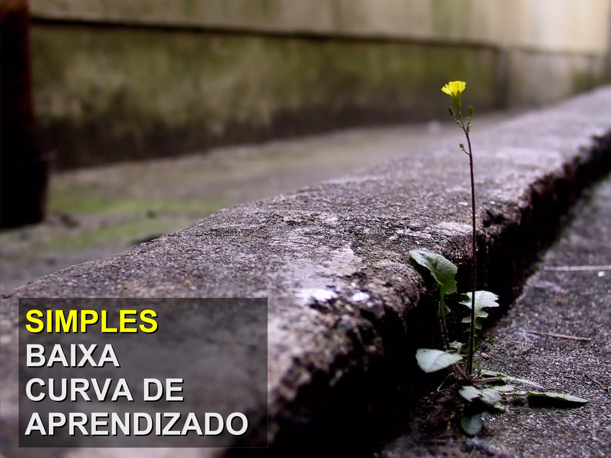 SIMPLES BAIXA CURVA DE APRENDIZADO 