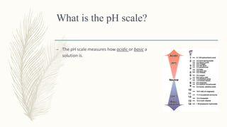 What is the pH scale?
– The pH scale measures how acidic or basic a
solution is.
 