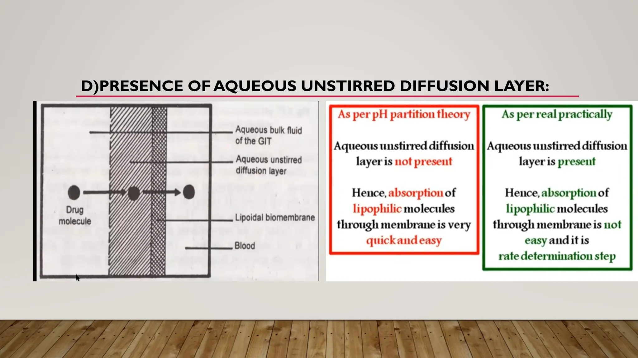 D)PRESENCE OF AQUEOUS UNSTIRRED DIFFUSION LAYER:
 
