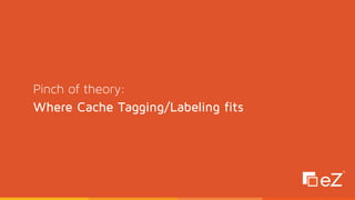 Pinch of theory: 
Where Cache Tagging/Labeling fits
 