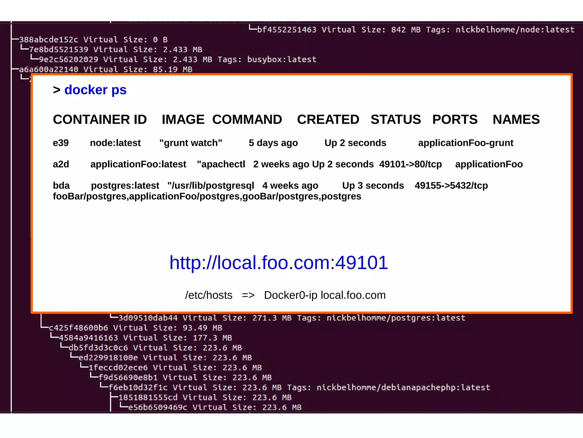 > docker ps 
CONTAINER ID IMAGE COMMAND CREATED STATUS PORTS NAMES 
e39 node:latest "grunt watch" 5 days ago Up 2 seconds applicationFoo-grunt 
a2d applicationFoo:latest "apachectl 2 weeks ago Up 2 seconds 49101->80/tcp applicationFoo 
bda postgres:latest "/usr/lib/postgresql 4 weeks ago Up 3 seconds 49155->5432/tcp 
fooBar/postgres,applicationFoo/postgres,gooBar/postgres,postgres 
http://local.foo.com:49101 
/etc/hosts => Docker0-ip local.foo.com 
 