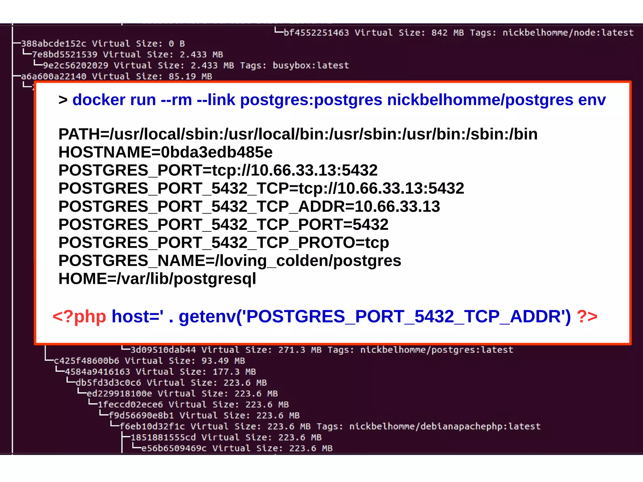 > docker run --rm --link postgres:postgres nickbelhomme/postgres env 
PATH=/usr/local/sbin:/usr/local/bin:/usr/sbin:/usr/bin:/sbin:/bin 
HOSTNAME=0bda3edb485e 
POSTGRES_PORT=tcp://10.66.33.13:5432 
POSTGRES_PORT_5432_TCP=tcp://10.66.33.13:5432 
POSTGRES_PORT_5432_TCP_ADDR=10.66.33.13 
POSTGRES_PORT_5432_TCP_PORT=5432 
POSTGRES_PORT_5432_TCP_PROTO=tcp 
POSTGRES_NAME=/loving_colden/postgres 
HOME=/var/lib/postgresql 
<?php host=' . getenv('POSTGRES_PORT_5432_TCP_ADDR') ?> 
 