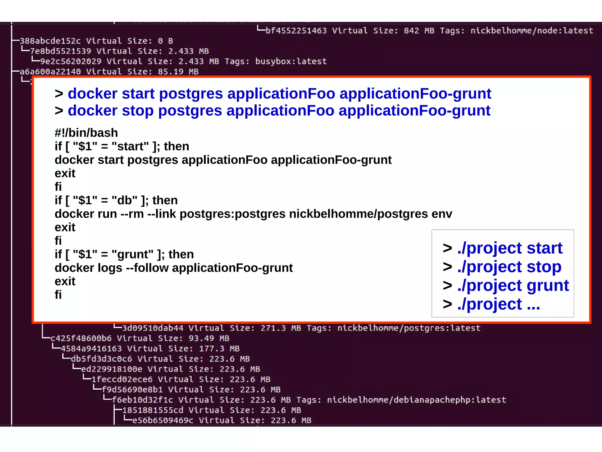 > docker start postgres applicationFoo applicationFoo-grunt 
> docker stop postgres applicationFoo applicationFoo-grunt 
#!/bin/bash 
if [ "$1" = "start" ]; then 
docker start postgres applicationFoo applicationFoo-grunt 
exit 
fi 
if [ "$1" = "db" ]; then 
docker run --rm --link postgres:postgres nickbelhomme/postgres env 
exit 
fi 
if [ "$1" = "grunt" ]; then 
docker logs --follow applicationFoo-grunt 
exit 
fi 
> ./project start 
> ./project stop 
> ./project grunt 
> ./project ... 
 