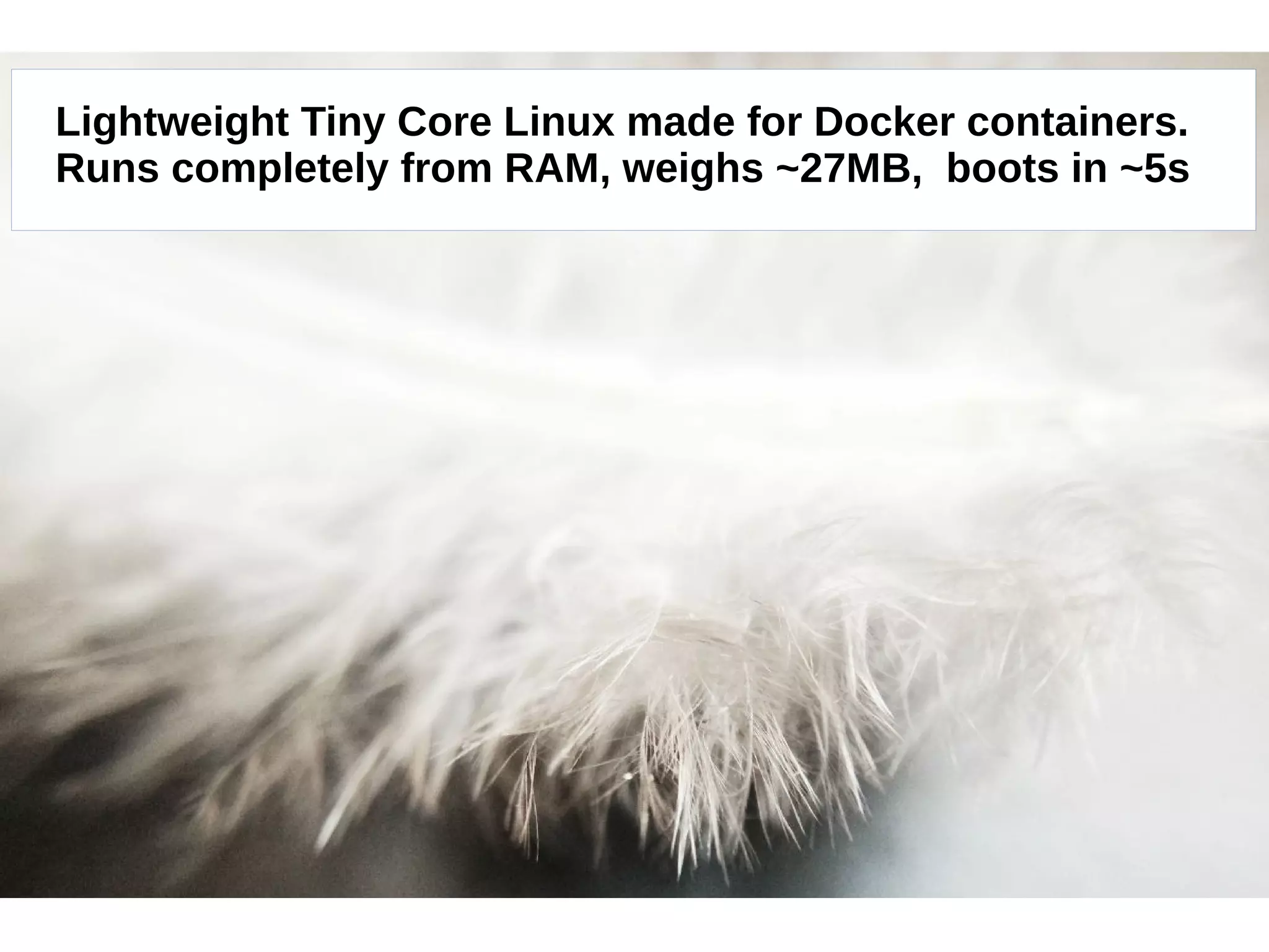 Lightweight Tiny Core Linux made for Docker containers. 
Runs completely from RAM, weighs ~27MB, boots in ~5s 
 