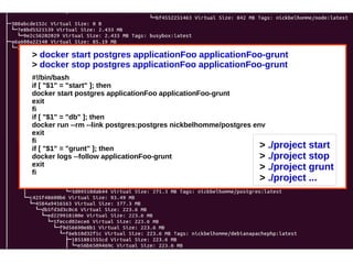 > docker start postgres applicationFoo applicationFoo-grunt 
> docker stop postgres applicationFoo applicationFoo-grunt 
#!/bin/bash 
if [ "$1" = "start" ]; then 
docker start postgres applicationFoo applicationFoo-grunt 
exit 
fi 
if [ "$1" = "db" ]; then 
docker run --rm --link postgres:postgres nickbelhomme/postgres env 
exit 
fi 
if [ "$1" = "grunt" ]; then 
docker logs --follow applicationFoo-grunt 
exit 
fi 
> ./project start 
> ./project stop 
> ./project grunt 
> ./project ... 
 