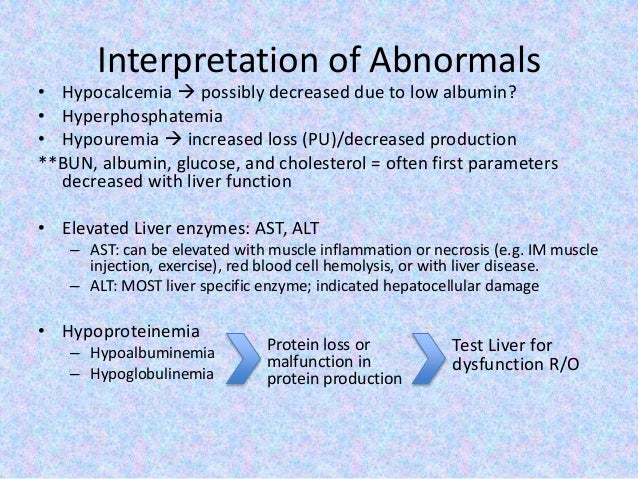 ag ratio high symptoms ag ratio high symptoms