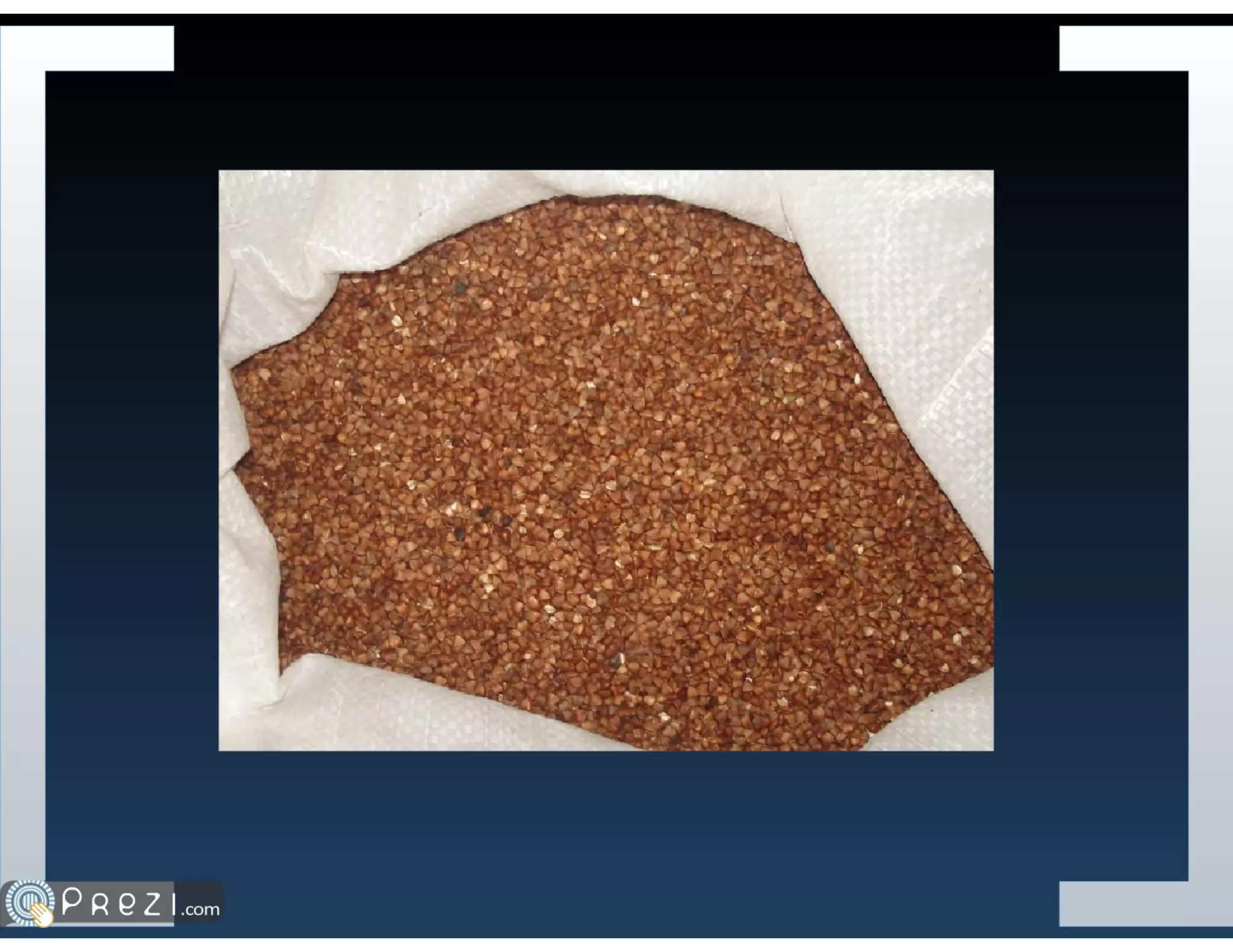 Systemy cache'owania danych w PHP