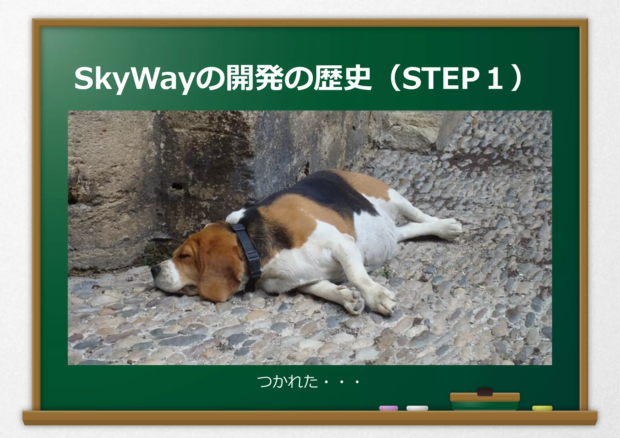 SkyWayの開発の歴史（STEP１）
つかれた・・・
 