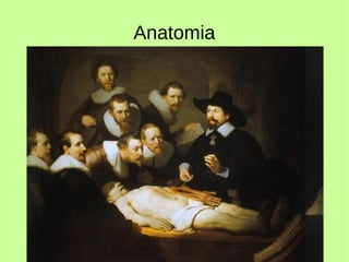 Anatomia
 