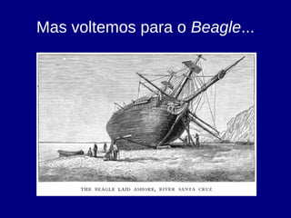Mas voltemos para o Beagle...
 