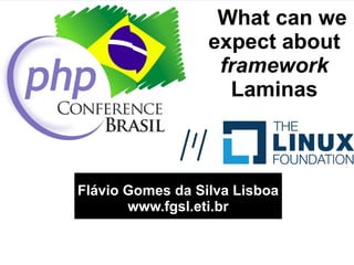 What can we
expect about
framework
Laminas
Flávio Gomes da Silva Lisboa
www.fgsl.eti.br
 